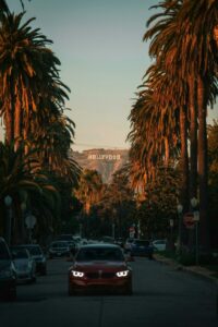 Iconic Hollywood Sign seen through palm-lined Los Angeles street.